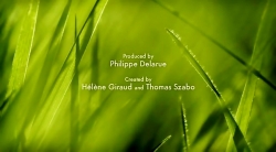 خیلی خیلی کوچک (2) (ماجرای بال)